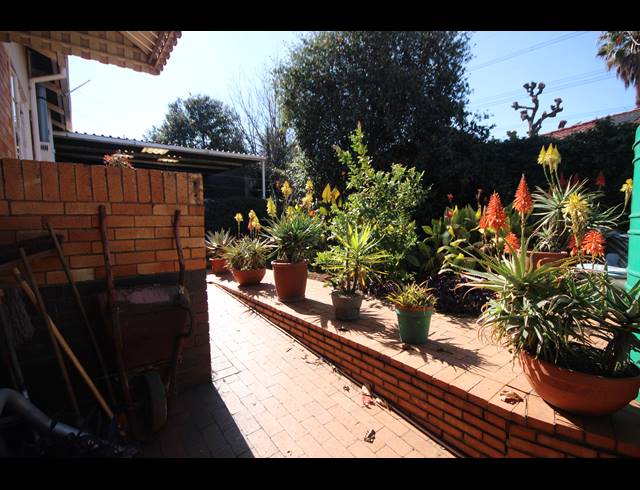 3 BEDROOM HOUSE FOR SALE IN PRIMROSE HILL